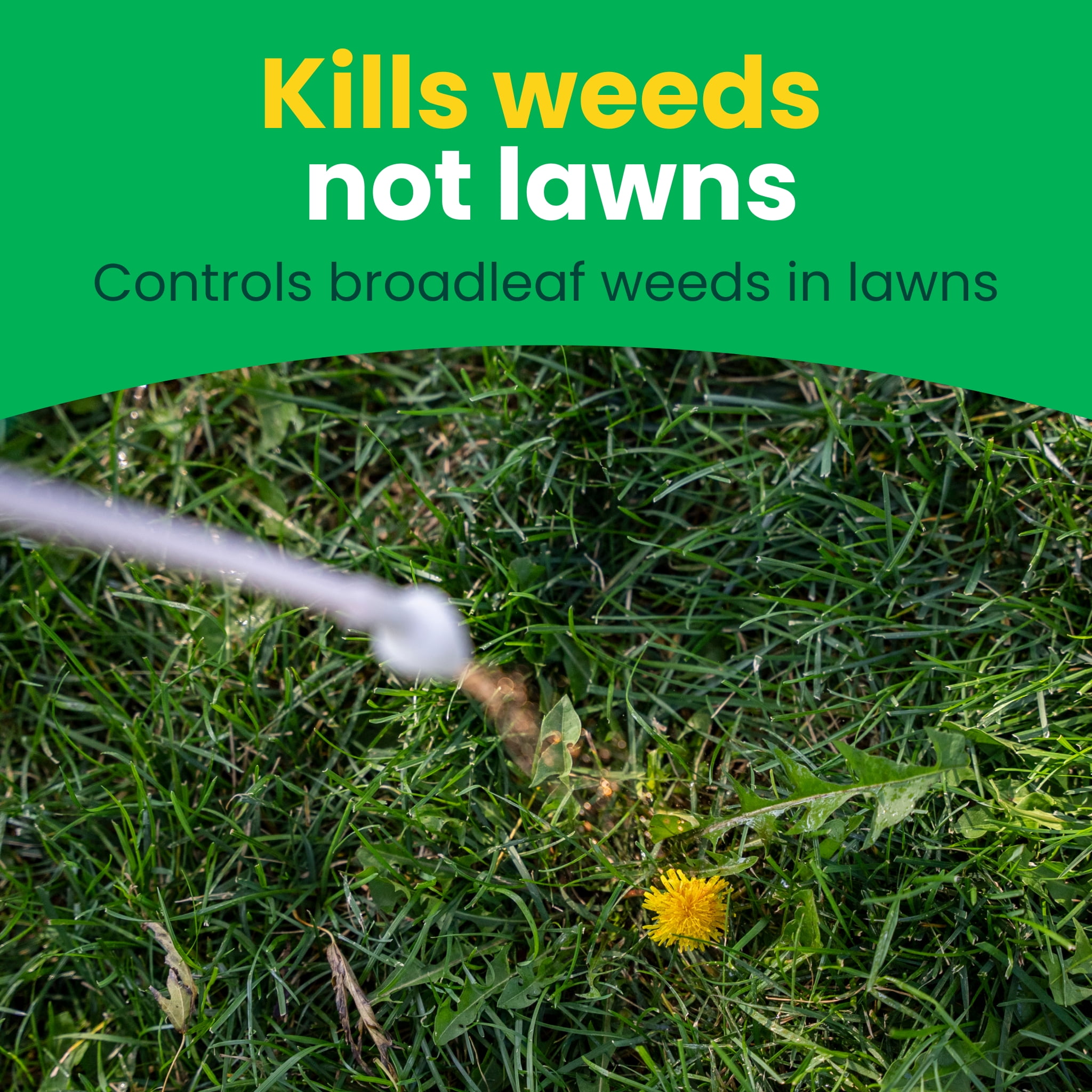 (2 pack) Sunday Dandelion Doom Broadleaf Herbicide Spot Treatment 1 gal/128 oz.