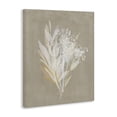thumbnail image 2 of Stupell Industries Cottage Natural Herb Impression Canvas Art, 16 x 20, by Susan Jill, 2 of 7