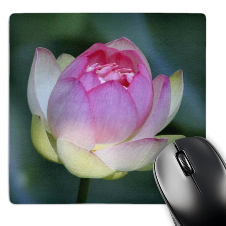3dRose  A lotus flower  MousePad price history on PriceWatchPro