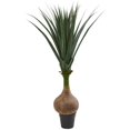 thumbnail image 1 of Nearly Natural 5545 Plante Artificielle de Yucca de 4,5 Po, 1 of 1