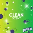 Fantastik AllPurpose Cleaner with Bleach, 32 Ounce Trigger Bottle
