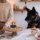thumbnail image 3 of Juguete interactivo para perros, juguete arrugado para perros, juguetes masticables para perros, juguetes de enriquecimiento para perros con sonido chirriante, juguetes de peluche para perros, 3 of 7