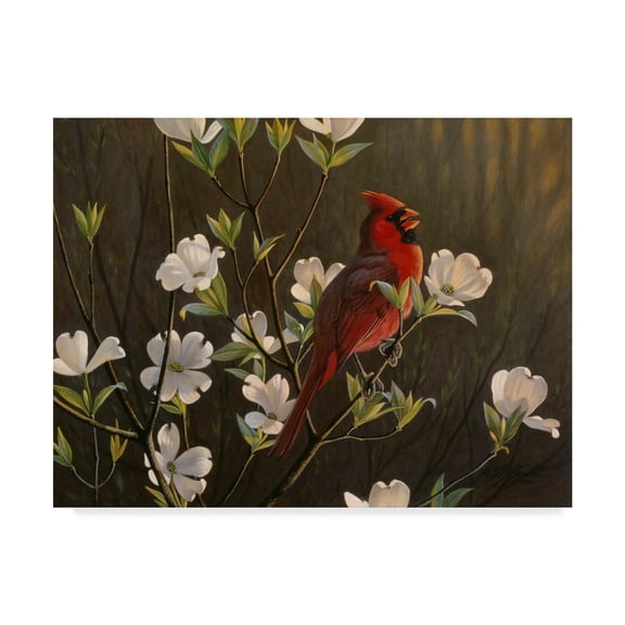 Trademark Fine Art 'Spring Cheer' Canvas Art by Wilhelm Goebel