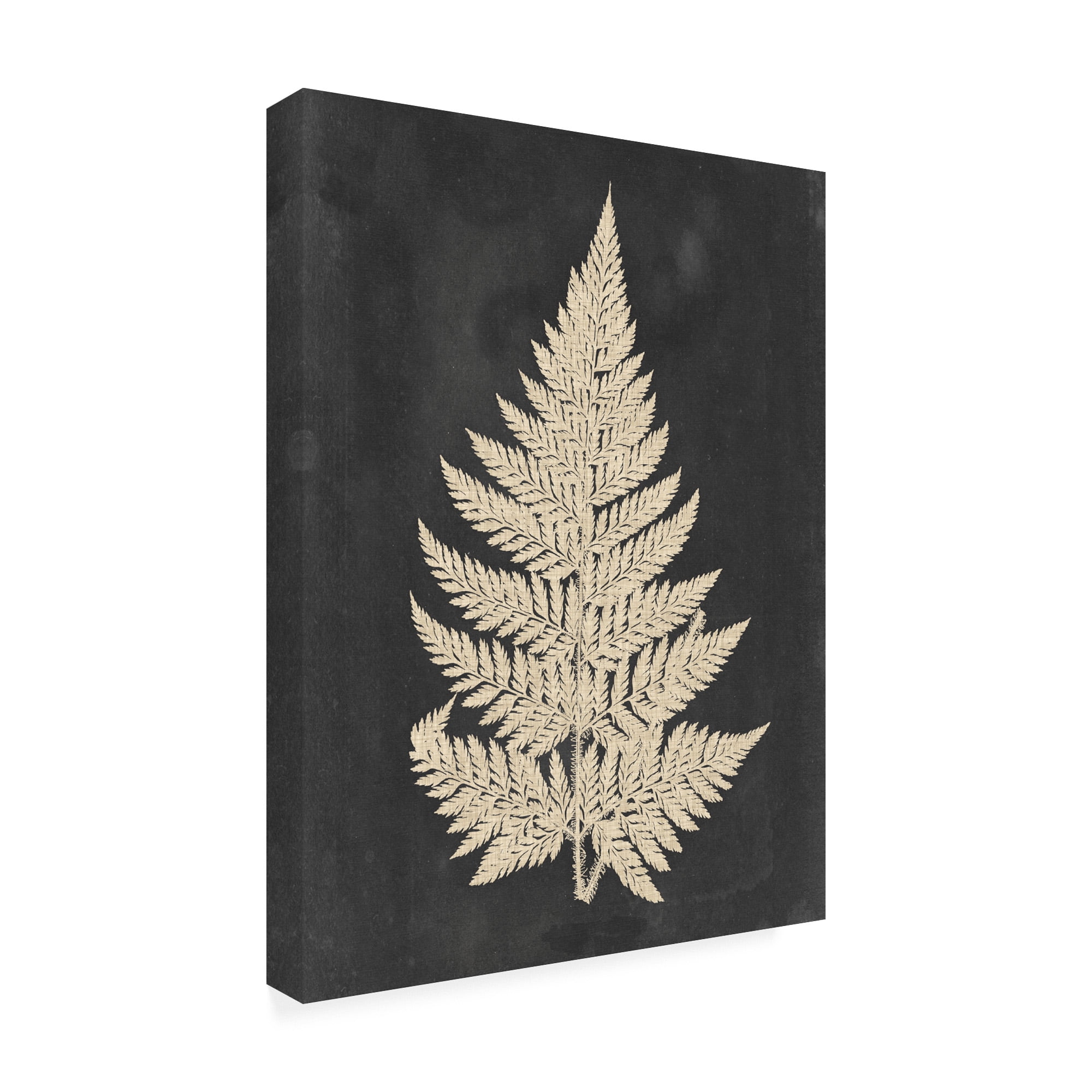 Trademark Fine Art 'Linen Fern I' Canvas Art by Vision Studio