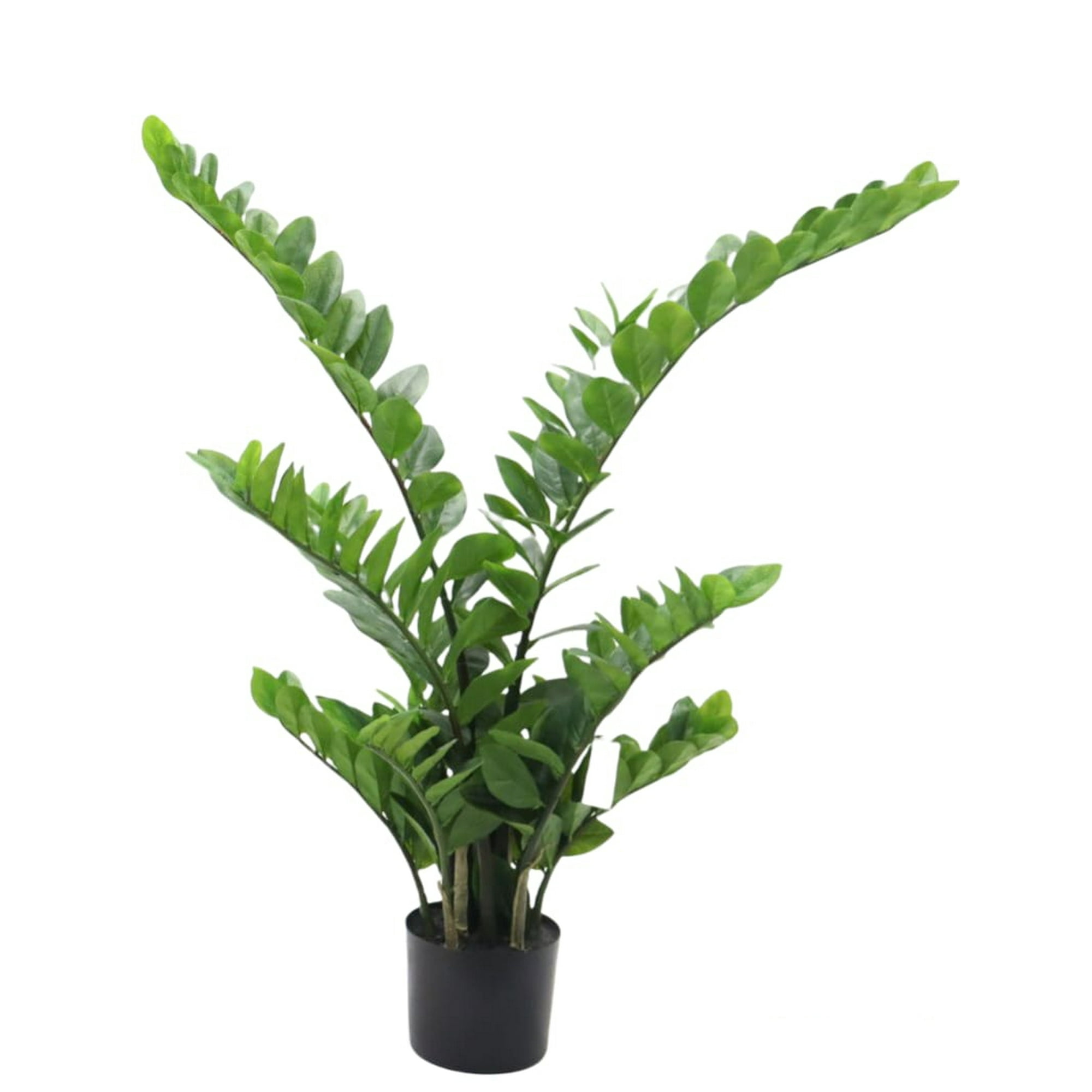 Planta Decorativa Arbol Zamifolia 110Cm / 11 Ramas