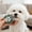 Green, variant on Professional Eye Comb for Pets - Stainless Steel Tear Stain Remover for Cats & Dogs, Gentle Round-Head Grooming Tool - Light Green