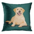 thumbnail image 1 of RYLABLUE Chiot Beige Labrador Chien à une Couleur Adorable Jeter Taie d'Oreiller Housse de Coussin, 1 of 1