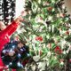 thumbnail image 4 of Copo De Nieve De Navidad 10 Pies 20 Led Copos De Nieve Con Pilas Luces De Cadena Luces De Hadas De Invierno Decoración De Navidad Methold  HA045590-03, 4 of 6