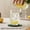 Green Teal, variant on Teal Green Forest Coasters Set of 6, Absorbent Coasters for Drinks, Vintage Foggy Woods Tree Coaster for Desk Coffee Table Protection, Home Decor House Warming Gifts 4"