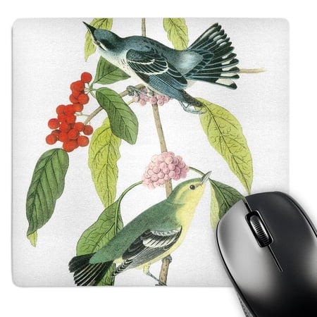 3dRose  Teal and Green Birds on Branches  MousePad price history on PriceWatchPro