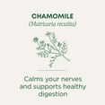thumbnail image 3 of Traditional Medicinal Chamomile, Herbal Tea Bags, 16 Count, 3 of 7