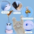 thumbnail image 3 of Interactive cat Slow Feeder, Pet Toys, Automatic Pet Slow Feeder, Tumbler Design Ball, 3 of 6