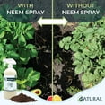 thumbnail image 6 of Organic Neem Garden Spray - Organic Azadirachta Indica, 6 of 7