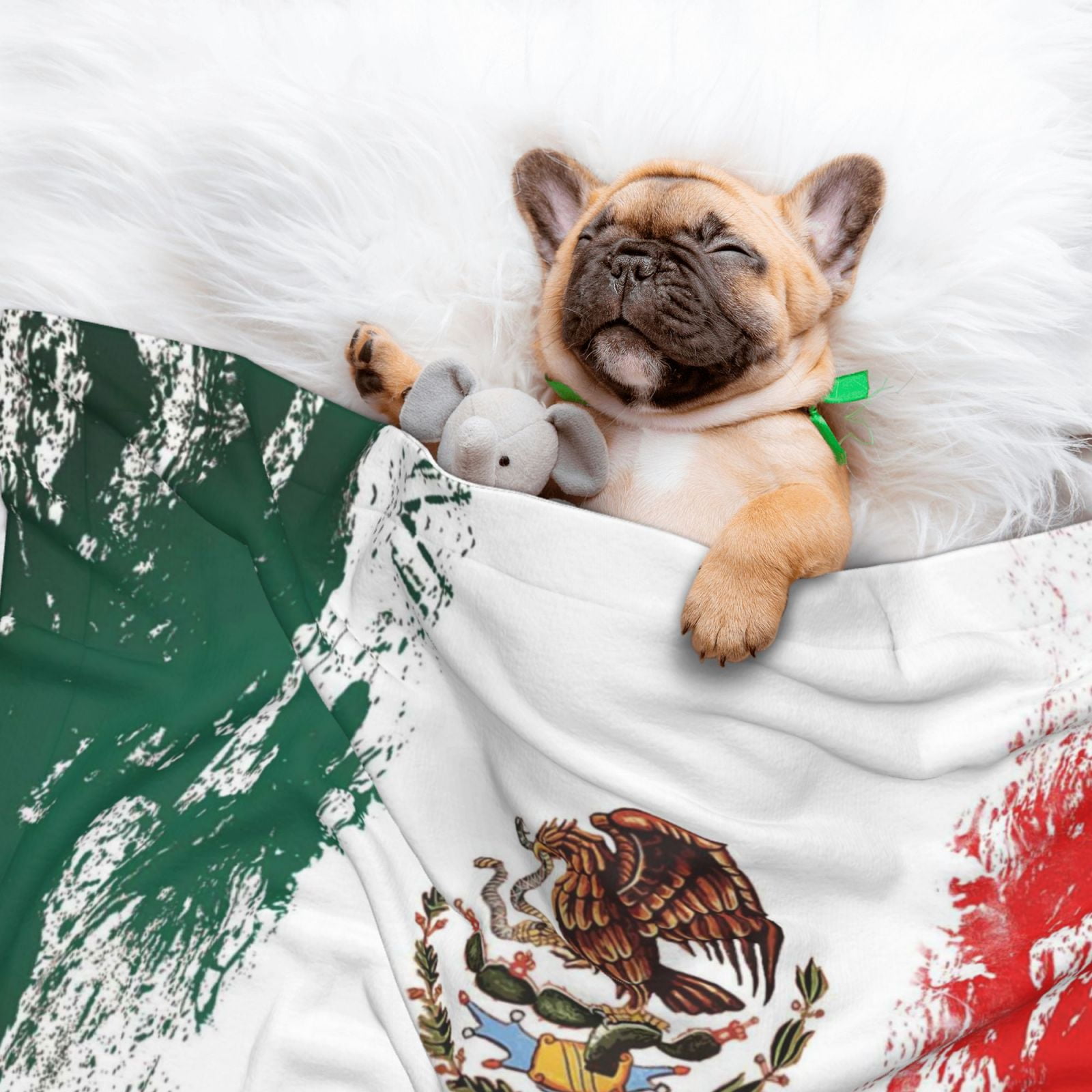 Mexican Flag Print Dog Blanket Soft Warm Flannel Cat Blanket Great Pet Throw for Cats Puppy Small Medium Large Dog