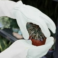 thumbnail image 6 of Msgweeeg Work Gloves Garden Gloves Garden Gardening Gloves Garden Gloves Long Sleeve Wrist Stab Proof Garden Gloves Work Gloves Long Sleeve Gloves, 6 of 7