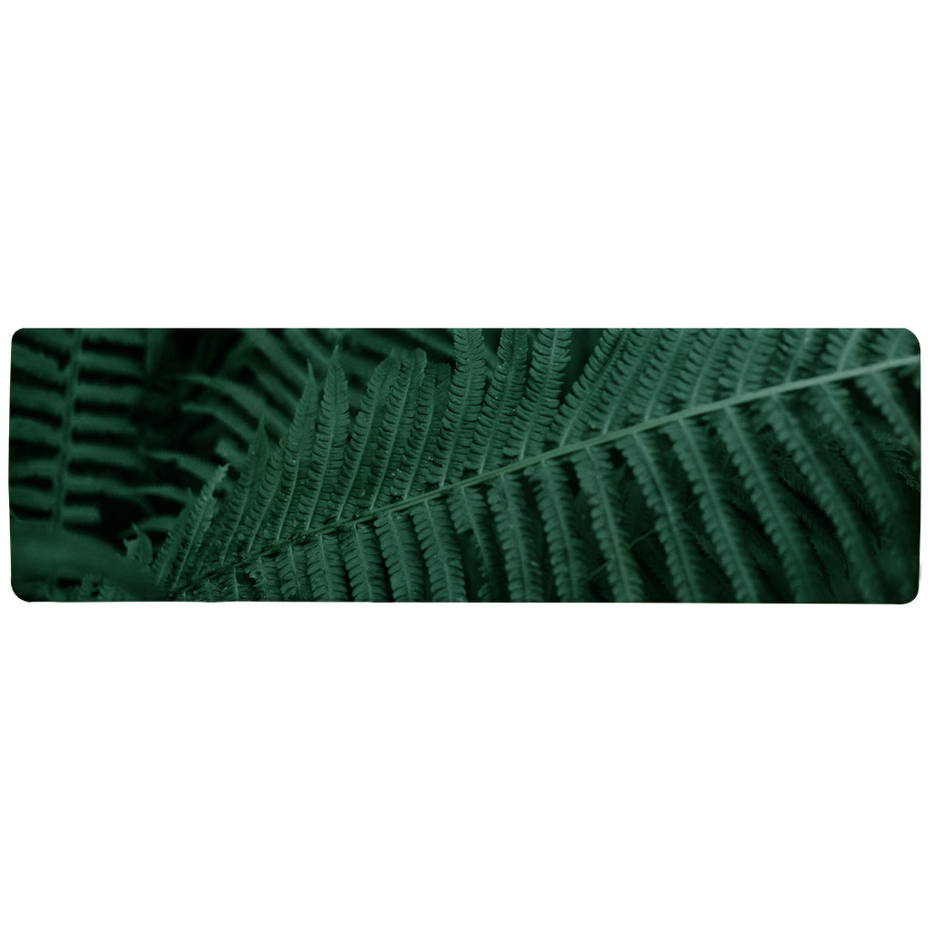 Deep green fern leaves texture. Fern in the forest. Plants background