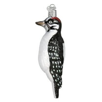 Old World Christmas Bird Watcher Collection Glass Blown Ornaments for Christmas Tree, Hairy Woodpecker