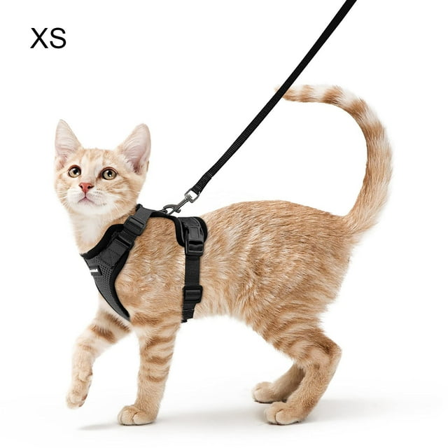 Arnés para Gato con Correa Arnés Suave Negro para Gato Arnés para el Pecho Arnés para Gato Conjunto para Gato Chaleco para Gato Ajustable a Prueba de Escape Negro XS
