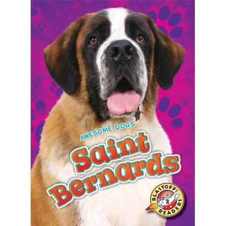 Saint Bernards (Best Saint Bernard Breeders)