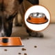 thumbnail image 4 of Comedero de acero inoxidable para mascotas, comedero para gatos, bebedero y bebedero para gatos., 4 of 7