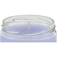 thumbnail image 5 of Pet Odor Exterminator Candle, Lavender with Chamomile,13 oz, 5 of 6