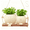 Off-Beige, variant on Swing Face Planter Pot, Cute Hanging Resin Flower Head Pot for Indoor Outdoor Plants, Decorative Succulent Pot with Drainage Hole, Gift for Plant Lovers, 5.6 Inch