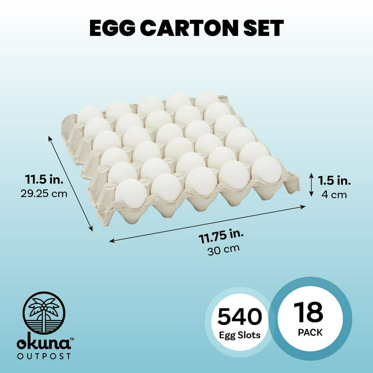 Pintuson Egg Cartons Cheap Bulk Holds Up to 18 Eggs, 40 Pack Clear