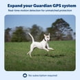 thumbnail image 3 of Collar para perros GPS Add-A-Dog Fence PetSafe Guardian negro, 3 of 7