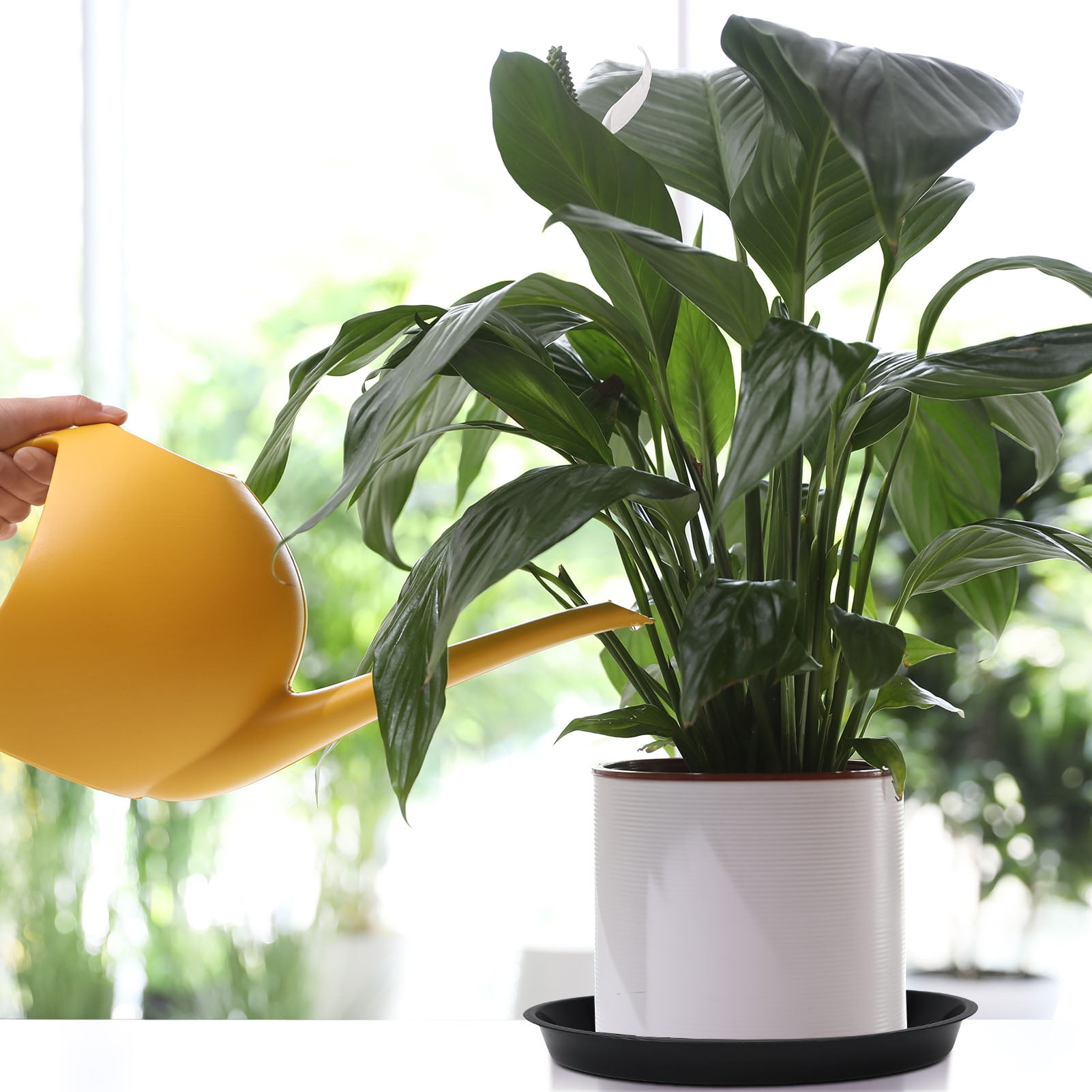 topjuju 15 Pcs Large Plant Saucers, 10/12/14 inches Dominican Republic |  Ubuy