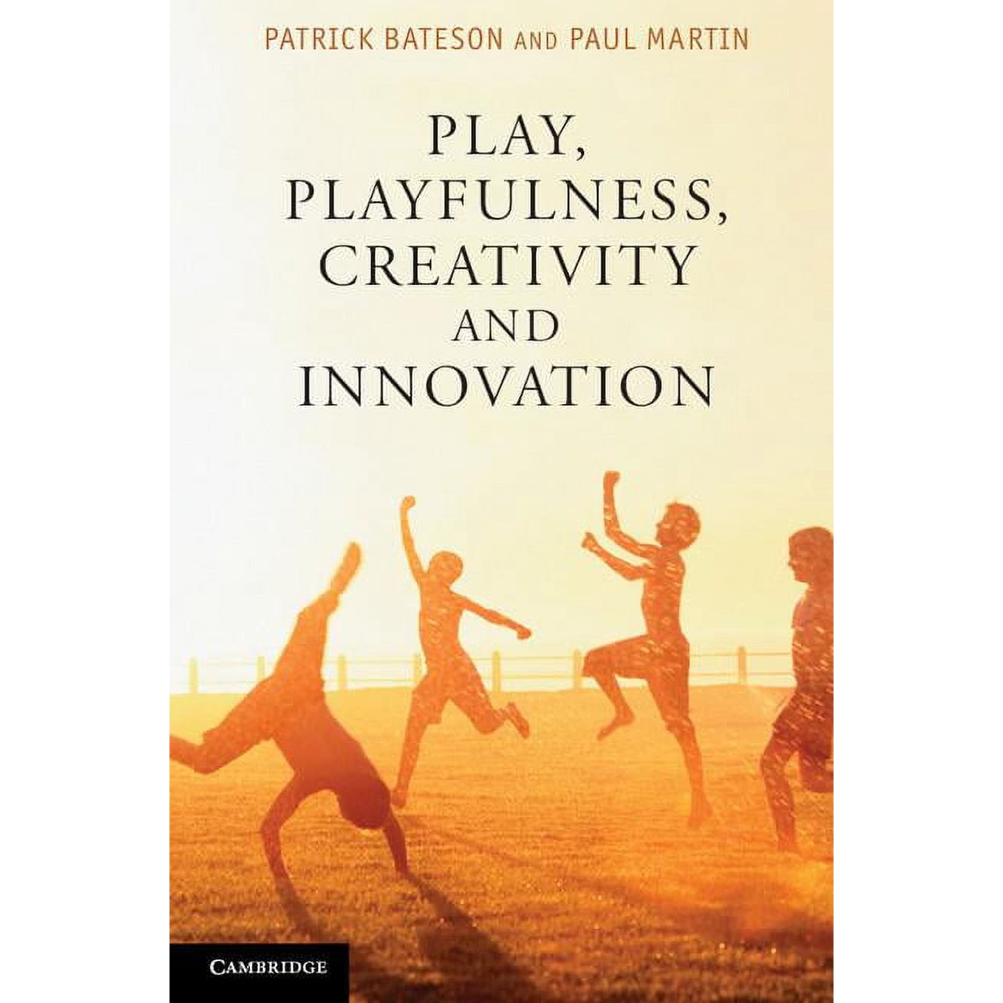Play Playfulness Creativity and Innovation (Paperback)