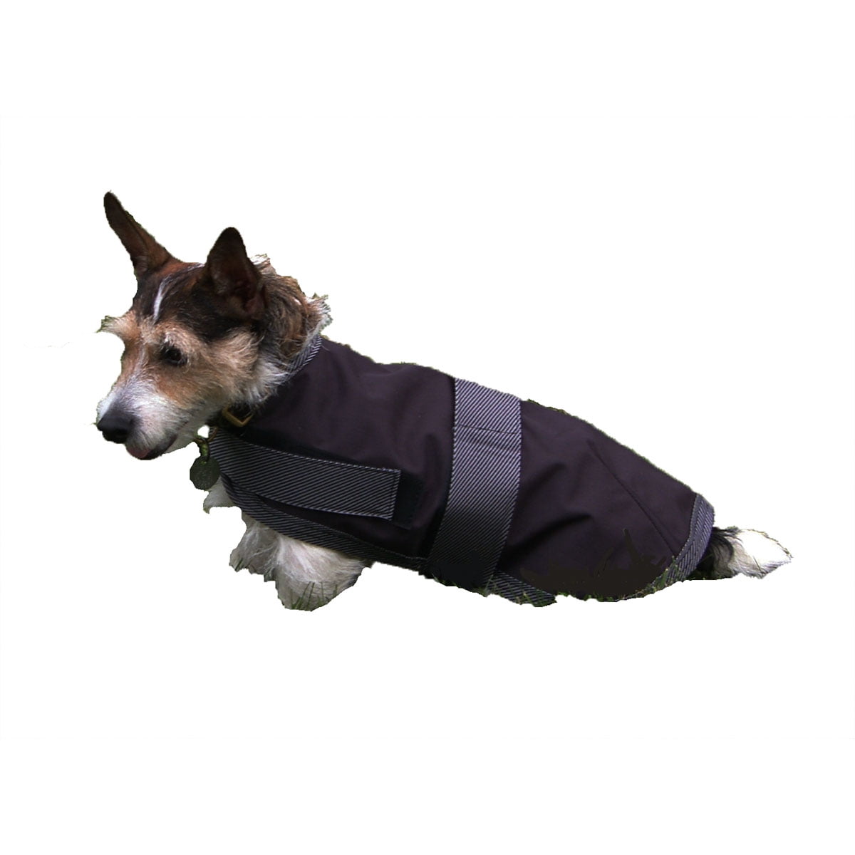 waterproof insulated dog coat