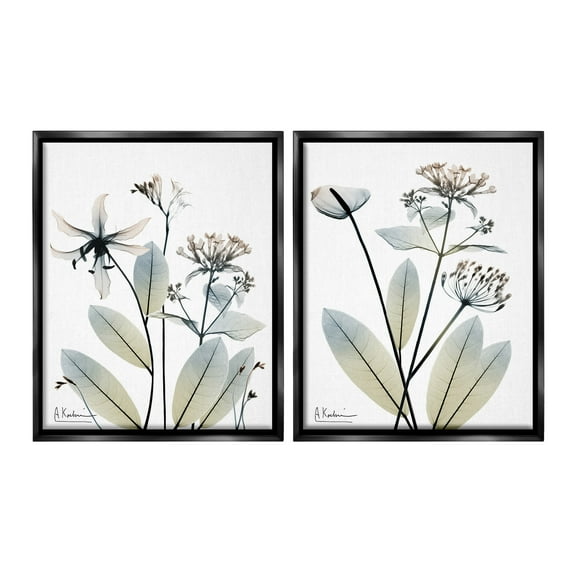 Stupell Industries Modern Budding Blooms Botanical & Floral Photography Black Floater Framed Canvas Art Print Wall Art, 17 x 21, Set of 2