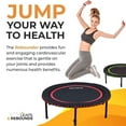 thumbnail image 6 of The Leaps & ReBounds Fitness Trampoline - Bungee Rebounder, 6 of 9