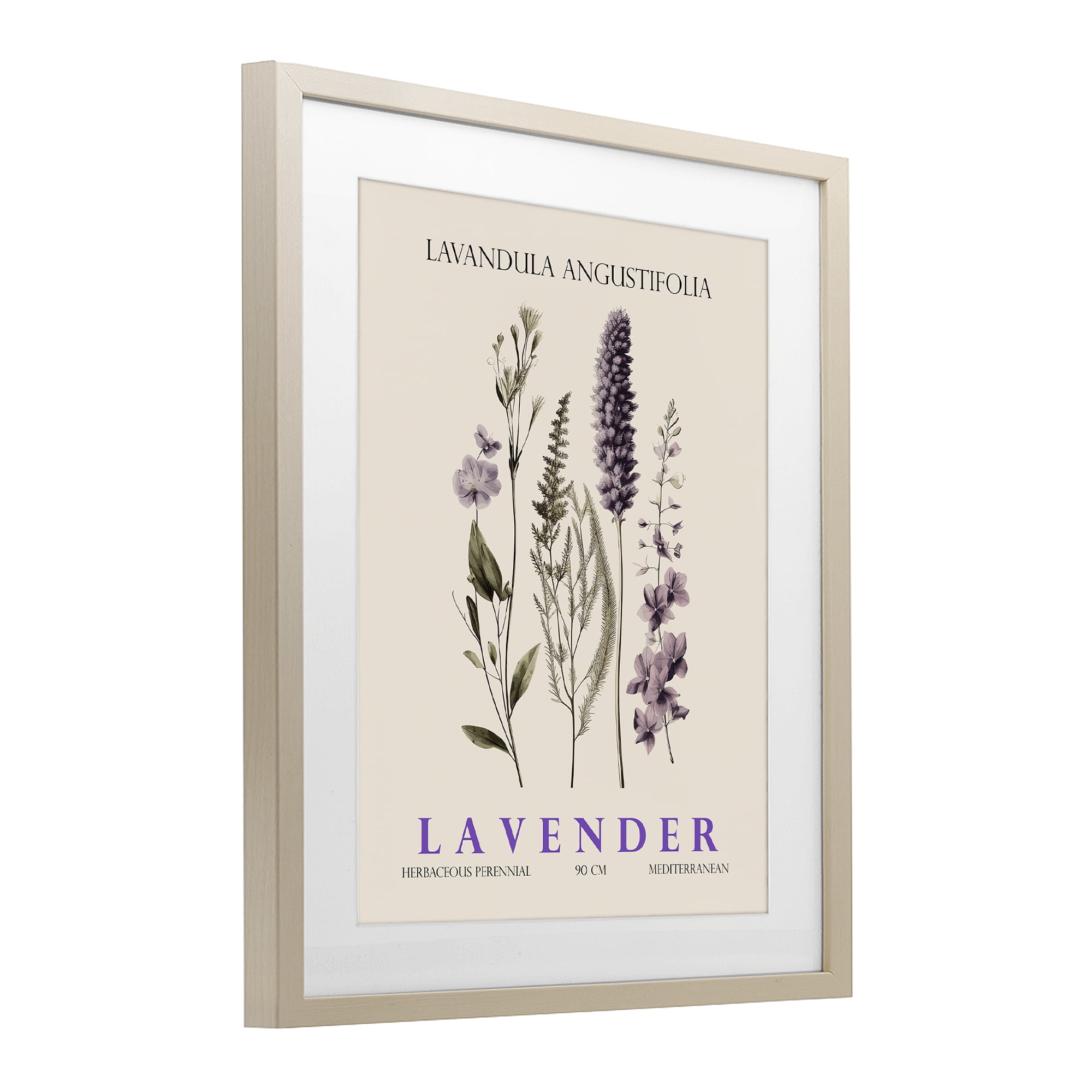 Stupell Industries Natural Lavender Bundle Birch Framed Print Under Glass, design by Christopher Giampietro