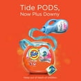 thumbnail image 4 of Tide Pods Laundry Detergent Soap Packs with Downy, April Fresh, 85 Ct, 4 of 13