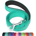 thumbnail image 1 of LAICAIW 4FT Reflective Dog Leash with Soft Padded Handle for Training,Walking Lead for Medium & Small Dogs,3/4 Inch Wide,Turouoise, 1 of 7