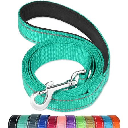 4FT Reflective Dog Leash with Soft Padded Handle for Training,Walking Lead for Large & Medium Dog,1 Inch Wide,Turouoise