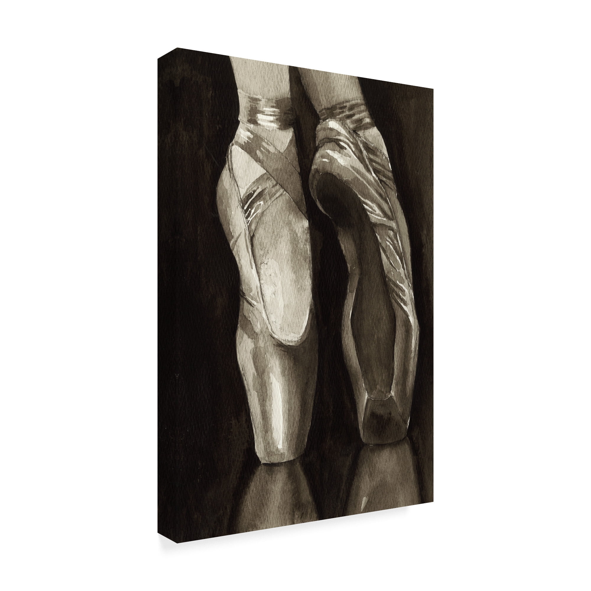 Trademark Fine Art 'Ballet Shoes I' Canvas Art by Grace Popp