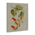 thumbnail image 3 of Stupell Industries French Country Vine with Red Blossoms Canvas Art, 36 x 48, by Vision Studio, 3 of 8