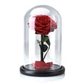 thumbnail image 1 of Flor De Rosa Conservada Real Con Cubierta De Vidrio Rosa Eterna En Cúpula De Vidrio Decoración Del Hogar Para El Día De San Valentín Advancent  HA024678-01, 1 of 5