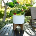 thumbnail image 4 of 7" Pharaoh   Ceramic Planter, 4 of 5