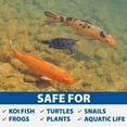 thumbnail image 4 of The Pond Guy UltraUV EPA-Registered UV Pond Water Clarifier & Fish-Safe Algae Treatment, 18 Watt, 4 of 9