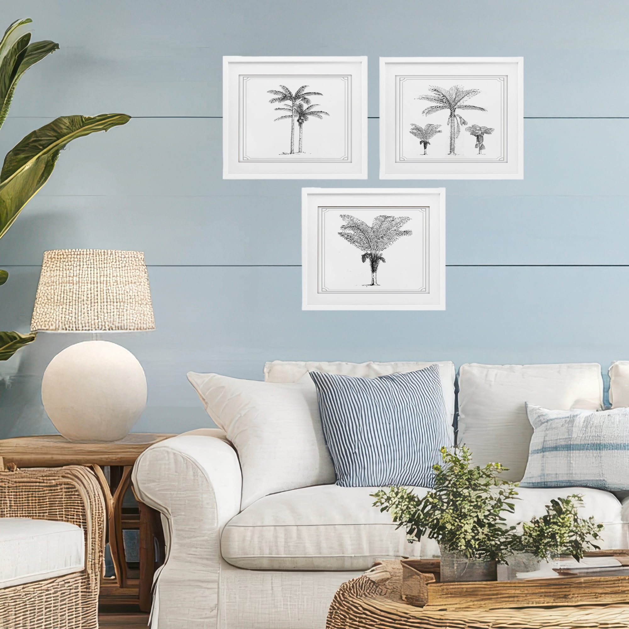 Minimal Vintage Palm Tree Sketches 3 Piece White Framed Print Under Glass Set, design by Lettered and Lined