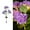 Purple-Free Size, variant on Hovmgk Solar Powered Embroidered Simulation Flower Lamp, Outdoor Courtyard Floor Lamp with Three Heads, Waterproof, Intelligent Photosensitive Light Control for Garden & Patio Décor