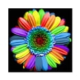 thumbnail image 2 of Cuadros Decorativos Diamante pintura 5D completo redondo taladro mosaico DIY Multi Color flor Kit arte decoración Ndcxsfigh Nuevos Originales, 2 of 8