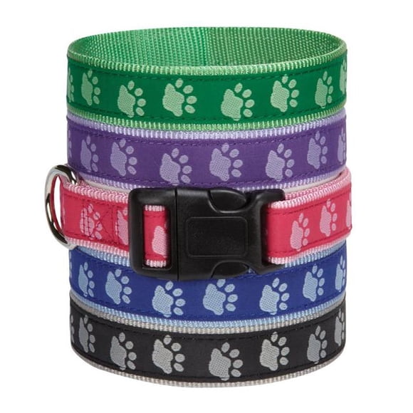Casual Canine ZA8871 06 19 6-10 in. Deux Tons Patte Chien Collier&44; Bleu
