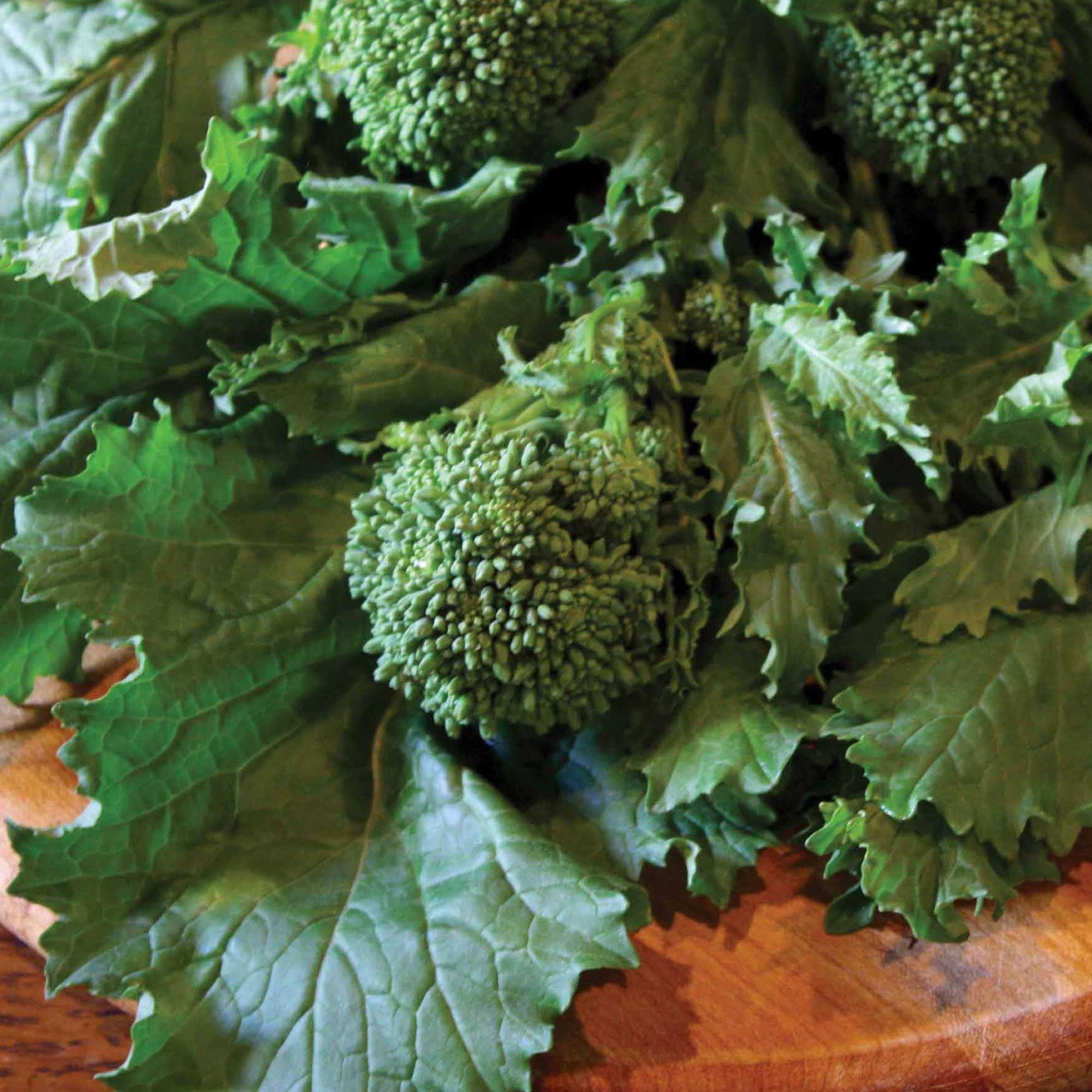 Broccoli Raab Seeds - Sorrento - 3 g Packet ~900 Seeds - Non-GMO ...