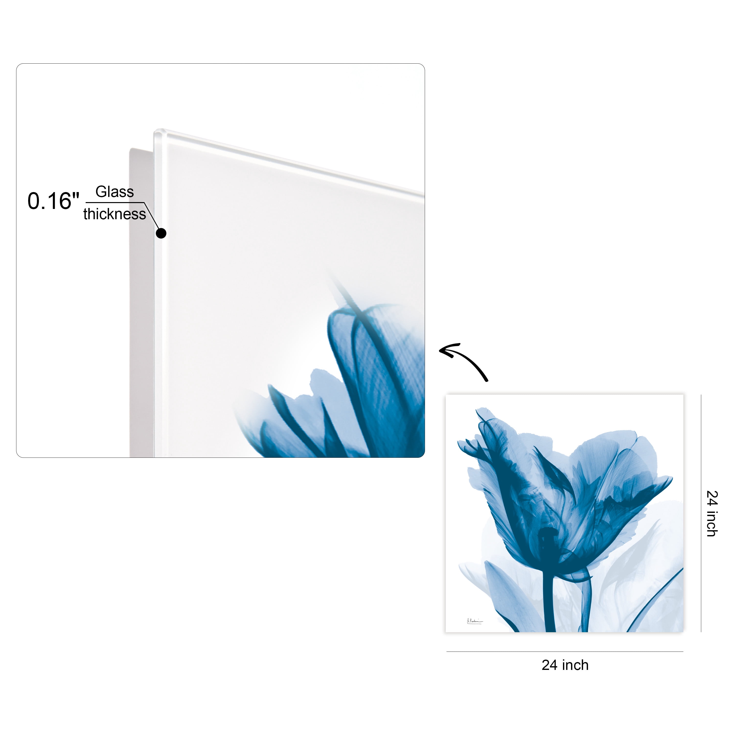 "Lusty Blue Tulip" Frameless Free Floating Reverse Printed Tempered Art Glass Wall Art, 24 in. x 24 in.