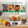 thumbnail image 3 of Máquina deshidratadora de alimentos NutriChef | Carne seca deshidratada Carnes Hongos Frutas y verduras | Ideal para uso doméstico | utiliza circulación de alta temperatura para una deshidratación uni, 3 of 6