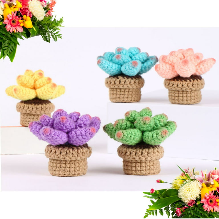 Baiyou Crochet Kit for Beginners - 4pcs Succulents Beginner Crochet Starter Kit for Complete Beginners Adults Crocheting Knitting Kit with Step-by-Ste